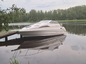 Bayliner Other