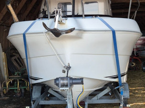 Quicksilver Muu malli