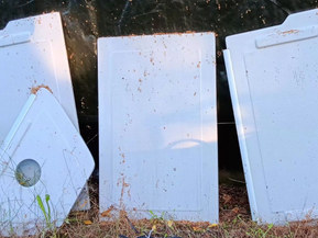 Quicksilver Muu malli