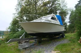 Coronet 24 family