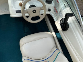 Sea Ray 175 Sport