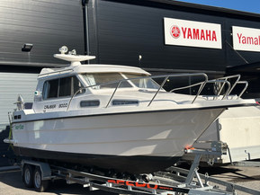 SeaStar 8000 Cruiser