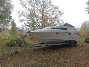 Bayliner 2455 Sunbridge