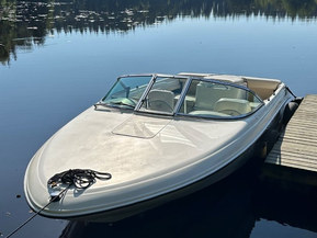 Sea Ray 175 Sport