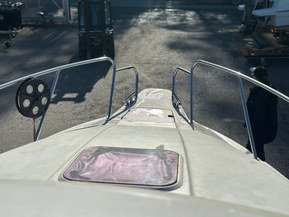 SeaStar 8000 Cruiser