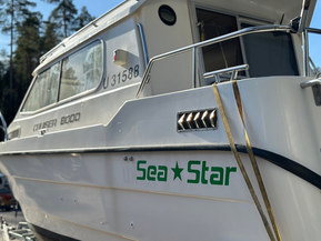 SeaStar 8000 Cruiser