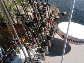 Finnmaster 6600 WA Exclusive