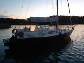 Finn Flyer 31