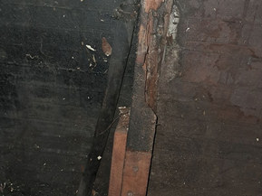 Meriläinen Summalainen