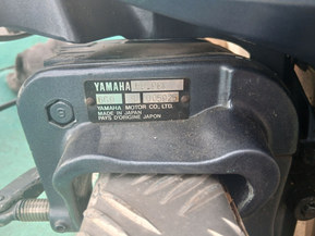 Yamaha F9.9BM