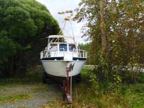 Teräsvene Muu malli