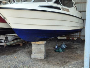 SeaStar 7000 Cruiser