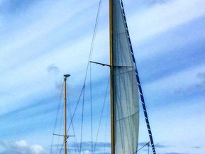 Van de Stadt Muu malli