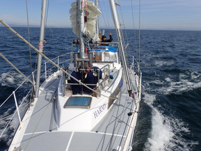 Omavalmiste Muu malli