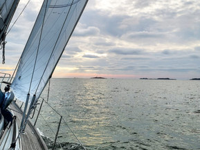 Van de Stadt Muu malli