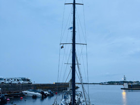 Omavalmiste Muu malli