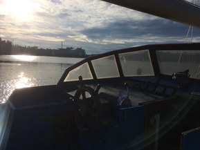 Van de Stadt Muu malli