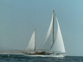 Van de Stadt Muu malli