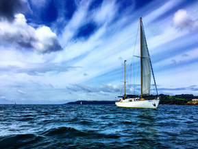 Van de Stadt Muu malli