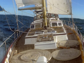 Van de Stadt Muu malli