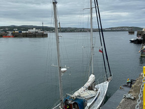 Omavalmiste Muu malli