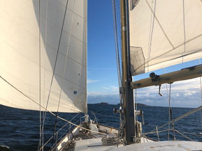 Van de Stadt Muu malli