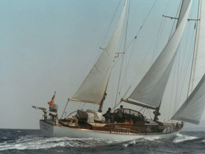 Van de Stadt Muu malli