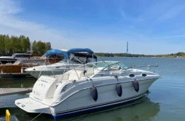 Sea Ray 260/275 Sundancer