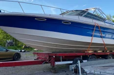 Sea Ray