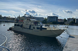 Omavalmiste Muu malli