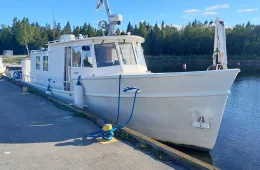 Teräsvene
