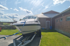 Sea Ray 220 DA