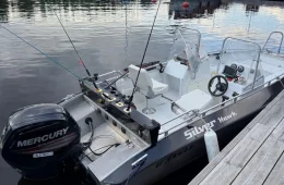 Silver Hawk 520