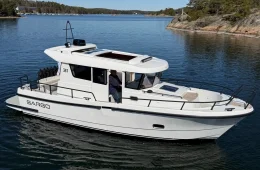 Sargo 31