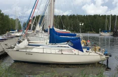 L-Scampi
