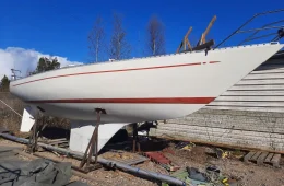 Helmsman Senorita