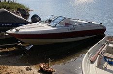 Bayliner