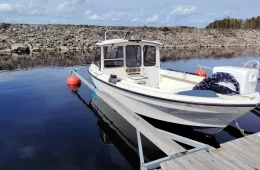 Vihe S-21 Fisher