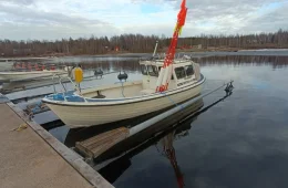 Botnia