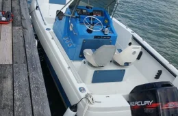 Bayliner