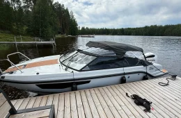 Silver Viper