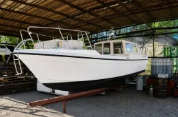 Kalaisa 8