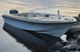 Marino Mustang V-15
