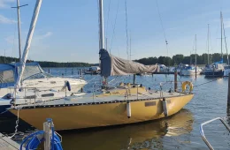 Comfort 30