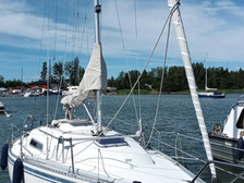 Finn 26