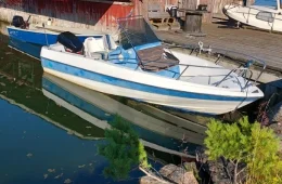 Bayliner