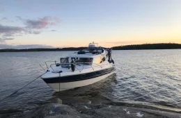 Bella Falcon 26