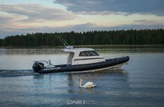 Protector Boats 310 Targa