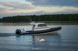 Protector Boats 310 Targa