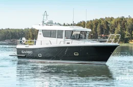 Sargo 31